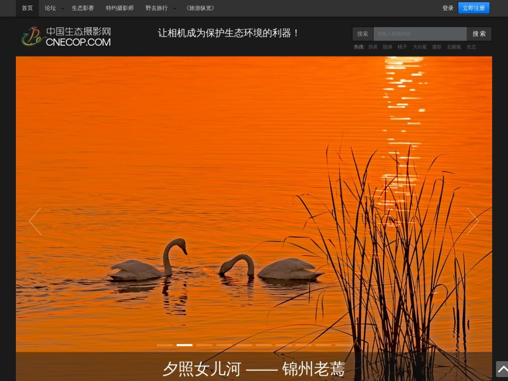 中国生态摄影网
